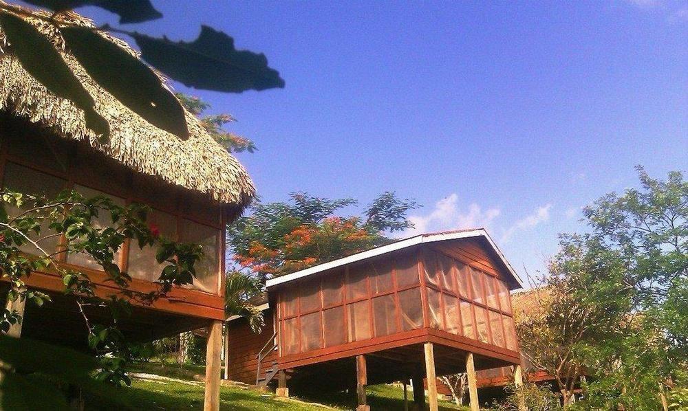 Cahal Pech Village Resort 산 이그나시오 시설 사진